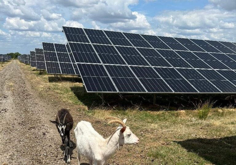 Ökostrom für Rangsdorf
